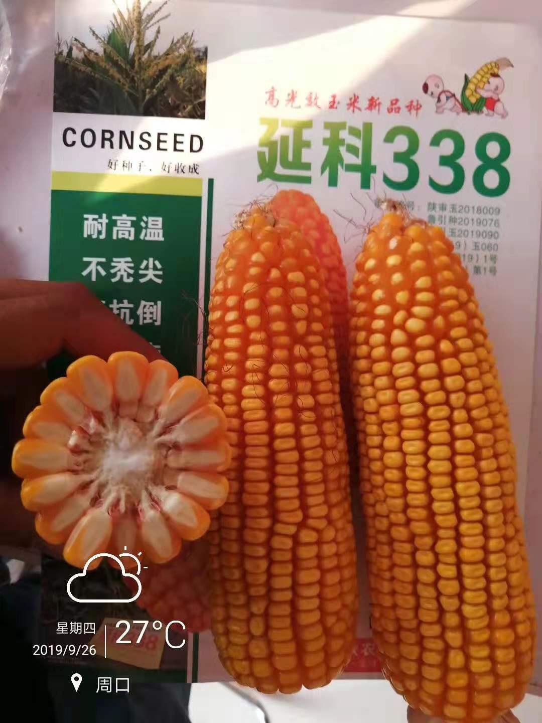 ΢ňDƬ_201912251055531.jpg